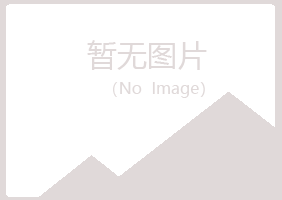 马山区迷失会计有限公司